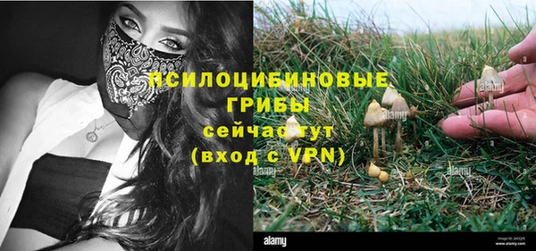 ГАЛЛЮЦИНОГЕННЫЕ ГРИБЫ Вязники