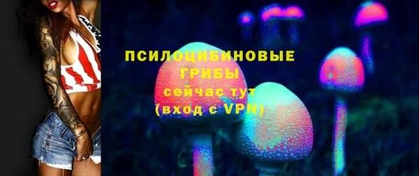 ГАЛЛЮЦИНОГЕННЫЕ ГРИБЫ Вязьма