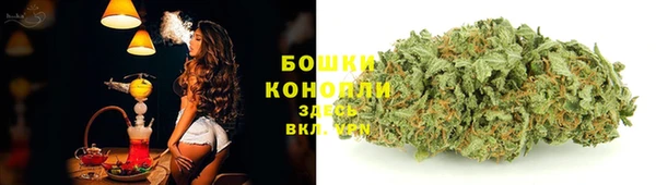 ГАЛЛЮЦИНОГЕННЫЕ ГРИБЫ Вязьма