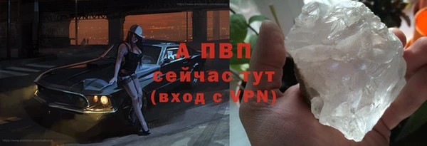 ГАЛЛЮЦИНОГЕННЫЕ ГРИБЫ Вязники
