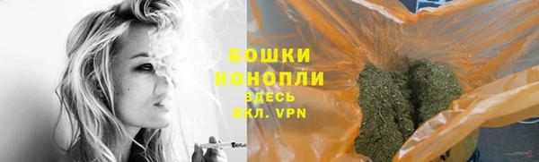 ГАЛЛЮЦИНОГЕННЫЕ ГРИБЫ Вязники