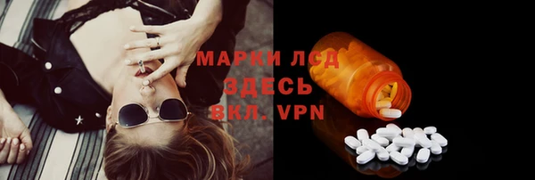ГАЛЛЮЦИНОГЕННЫЕ ГРИБЫ Вязники