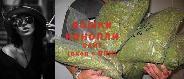 прущие грибы Володарск