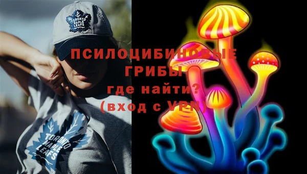 ГАЛЛЮЦИНОГЕННЫЕ ГРИБЫ Вязьма