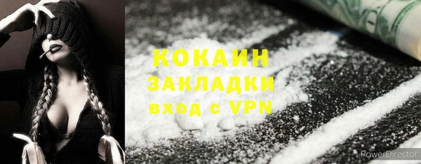ГАЛЛЮЦИНОГЕННЫЕ ГРИБЫ Вязники