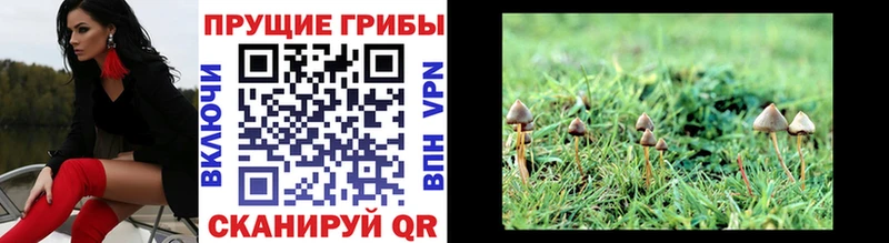 Галлюциногенные грибы ЛСД  Купить где  Весьегонск 