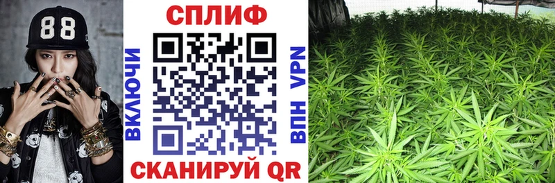 Купить  Весьегонск  Бошки марихуана AK-47 